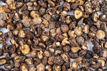Dried small shiitake mushrooms on white background