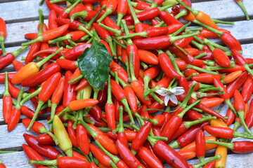 red hot chili peppers in a bowl on the wooden table. very spicy fresh chili organic