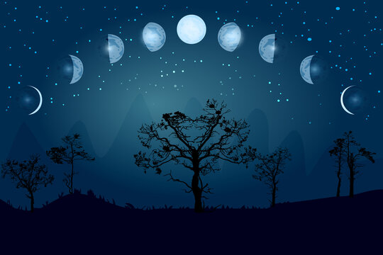 Cartoon moon phases. Whole cycle from new moon to full. Lunar cycle change. New, waxing, quarter, crescent, half, full, waning, eclipse. Space of cosmos. Night sky and landscape with trees. Vector