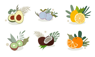 Organic cosmetics. Bottles, Plants, Fruits. Set of abstract vector illustrations