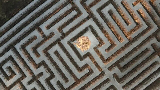 Aerial view of a garden maze, labirynth. Mystery, path to success. Abstract puzzle, background texture.