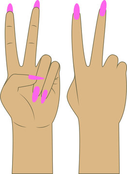vector of a female hand with two raised fingers. flat image of Victoria on a female hand. painted female nails. female hand with victoria