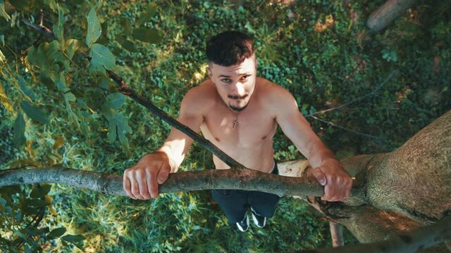 Top view of the young caucasian man is pulling up on the tree while training in garden. Male athlete is doing exercise with effort during workout on spring day. Guy practicing for health