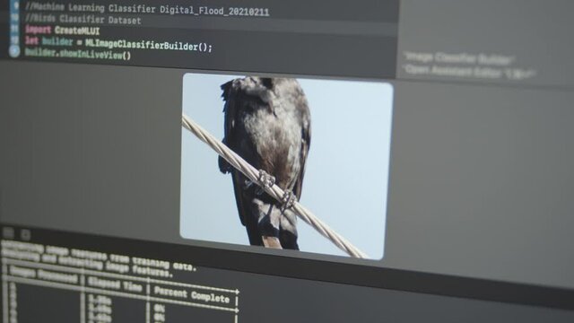2.1 Real Neural Network Machine Learning Bird Classifier