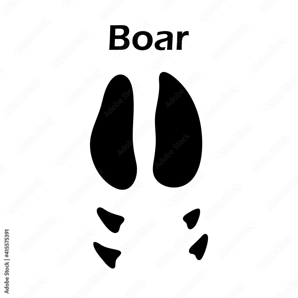 Sticker boar footprint