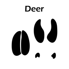 Deer Footprint