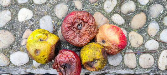 apples with mold