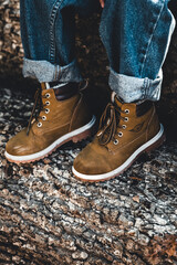Boots on the top of the tree stump. Wood Background.Tree Picture.