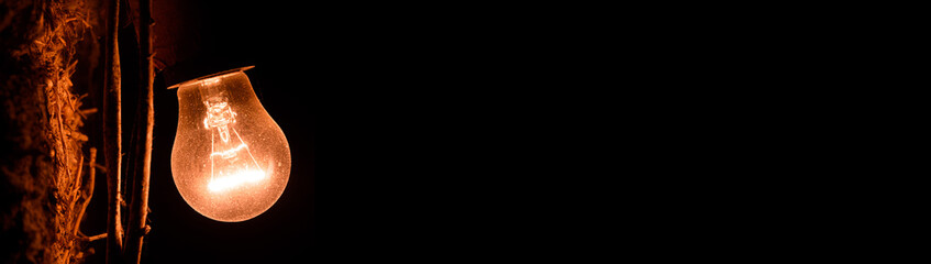 A tungsten light bulb is lit on a black background. Light in the dark concept. The light bulb...