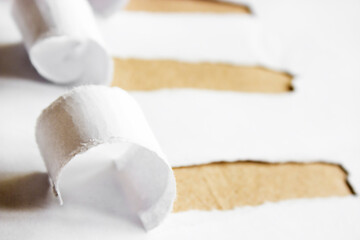 pieces of torn paper close up