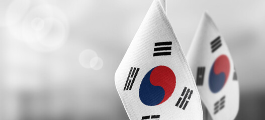 Small national flags of the South Korean on a light blurry background