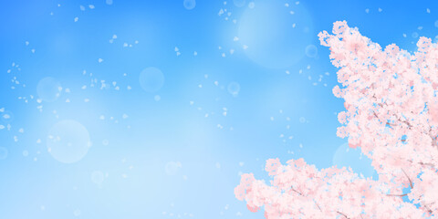 Fototapeta na wymiar 満開の桜と青空のイラスト_春のイメージの背景素材