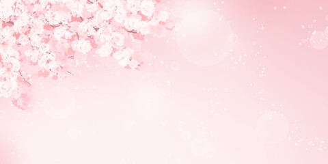 満開の桜のイラスト_春のイメージの背景素材