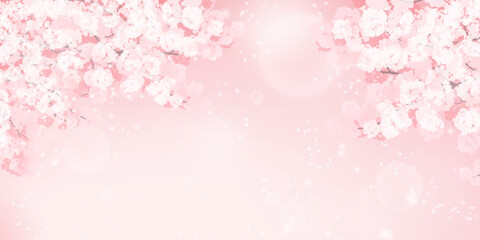 満開の桜のイラスト_春のイメージの背景素材