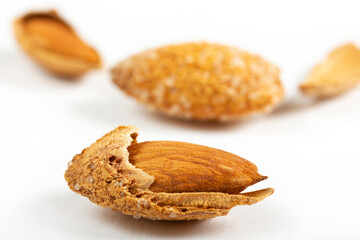 roasted, shelled and salted almonds