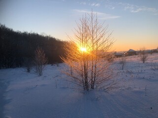 sunset in the winter