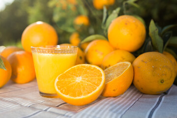 orange juice and oranges on table in orchard