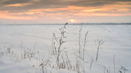 a field covered with snow at sunset