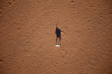 Lonely Oryx in the dry Namib desert from above