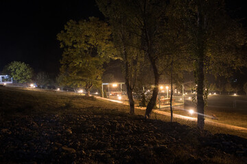 Obraz premium Trees and street lamps on a quiet foggy night. Foggy misty evening lamps in empty road.