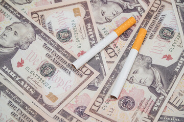 Fototapeta premium cigarettes with a dollar background