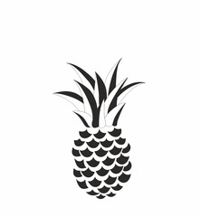 Pineapple logo or print for t-shirt and interior. Graphic fruit with beautiful scales. vector image on white background