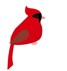 red Northern cardinal. cartoon character