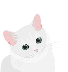 Fluffy gray cat with big sad eyes. Vector image on white background