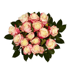 bouquet of roses isolated with clipping path 
