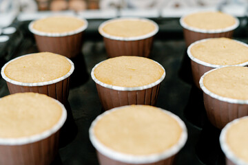 freshly baked cupcakes on a black protvin background.Food for breakfast. Freshly baked cupcakes for dessert. Foodies and cuisine.