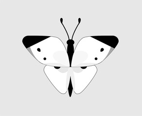 butterfly stylized as a triangle for logo