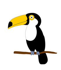 A cute toucan sits on a branch. Vector image on white background