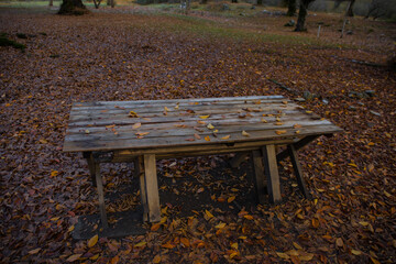 Old wooden table top with leaves falling in forest, autumn background