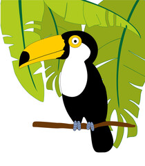 large toucan in tropical leaves. Vector image on a white background.