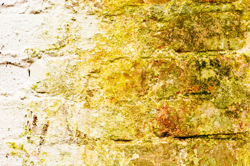 Texture of a brick wall with cracks and scratches which can be used as a background