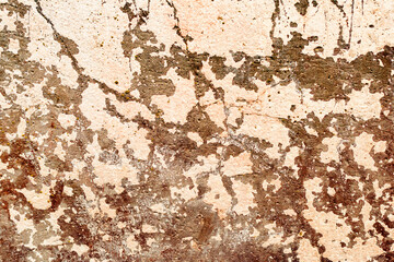 Texture of a concrete wall with cracks and scratches which can be used as a background