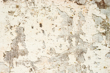 Texture of a concrete wall with cracks and scratches which can be used as a background