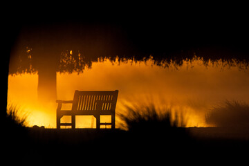 Park bench looking over a mist-laden lake