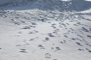 view of people steps at sand. hot desert. close up