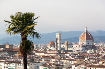 Naklejka premium Vista sul Duomo di Firenze