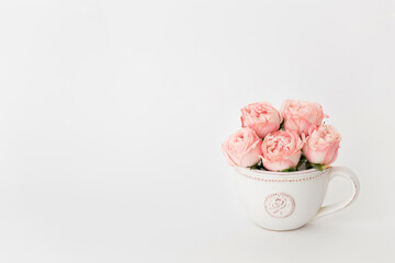 Pink peony roses in a white ceramic cup on white background.
