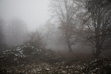 Landscape with beautiful fog in forest on hill or Trail through a mysterious winter forest with autumn leaves on the ground. Road through a winter forest. Magical atmosphere. Azerbaijan nature