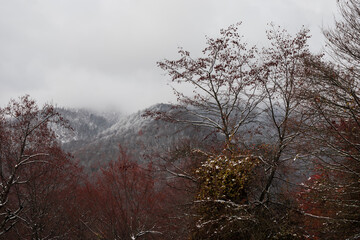 Landscape with beautiful fog in forest on hill or Trail through a mysterious winter forest with autumn leaves on the ground. Road through a winter forest. Magical atmosphere. Azerbaijan nature
