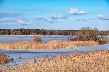Februar am Tauerwiesenteich 3