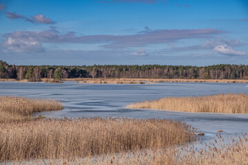 Februar am Tauerwiesenteich 2