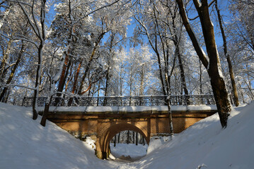 bridge in winter