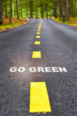 Journey to go green on asphalt road surface on nature background. Sustainability development concept and future ahead idea