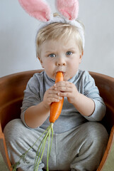 Cute young toddler boy wearing a bunny rabbit costume chewing on a carrot and looking on us. Happy Easter time. Close up