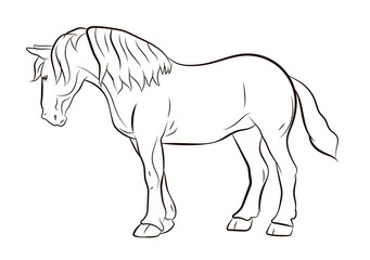 In the animal world. Horse image. Black and white drawing, coloring.