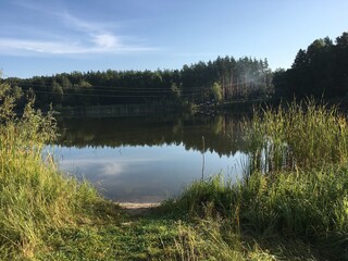 lake in the forest